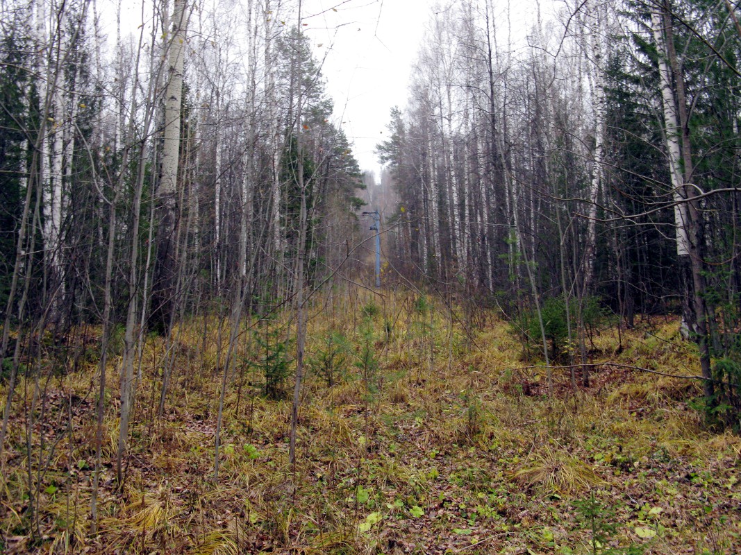Гора Ежовая, Кировград Гора Ежовая, Кировград